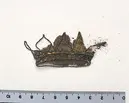 Fragment från Kristinas grav i Peterskyrkan i Rom.