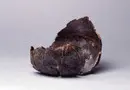 Glasbägare