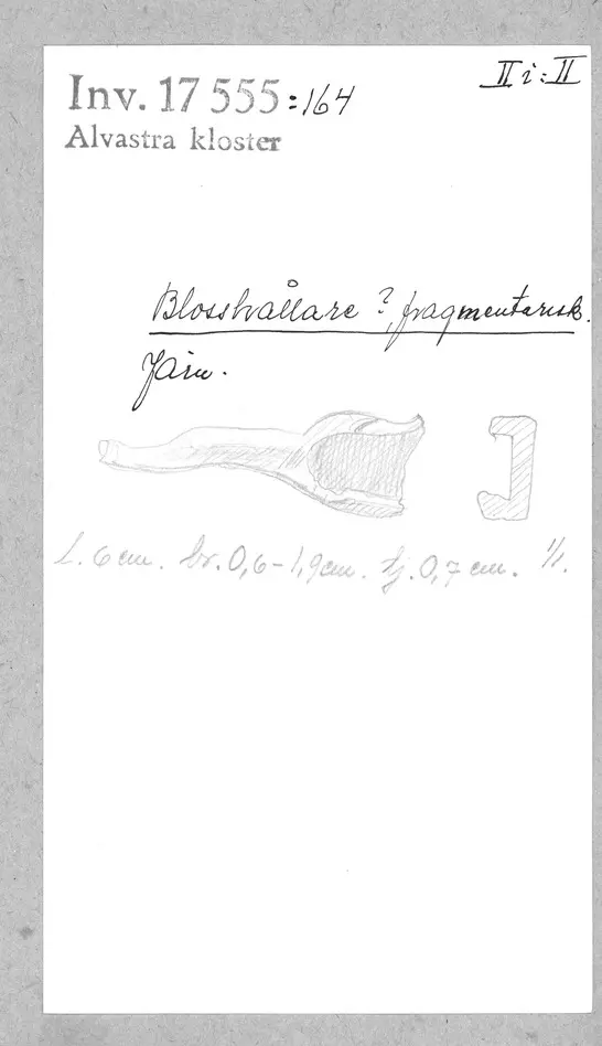 Bild på Blosshållare, Fragment