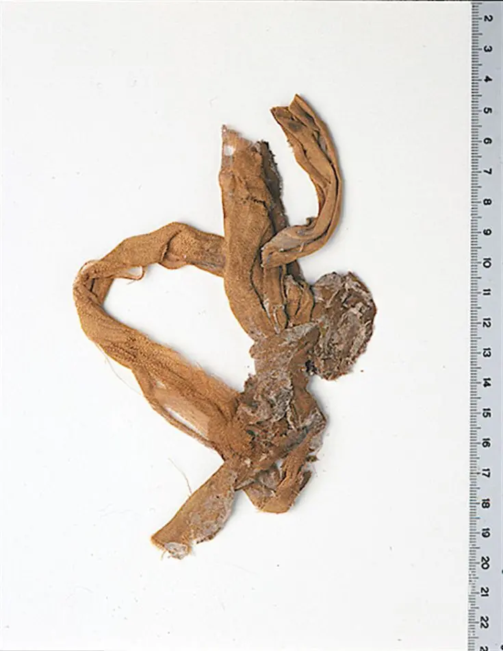 Bild på Band, Rosett, Fragment