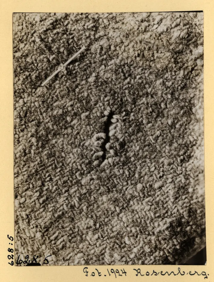 Gerumsmanteln