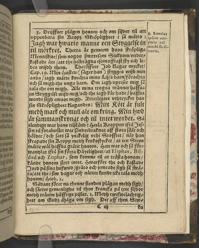 Een christelig lijkpredikning om the andelige fiender, med hwilka alla gudfruchtiga menniskior strijda måste ... Hwilken tå ... frw Maria Eliszabeth, Sweriges ... konunga dotter ... fördes til sin hwilokammar i Linckep[~]ing. Hållin är på thet fursteliga hwset Bråborg, then 18. januarij, åhr 1619. Aff Petro Jonæ Biugg ... Tryckt i Stockholm aff Oluff Oluffson. Anno 1620.
