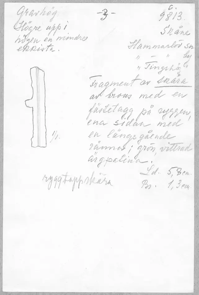 Ryggtappskära