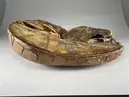 Skåltrumma