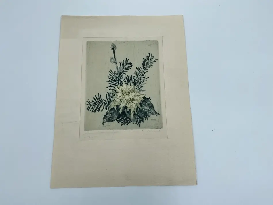 Bild på Graifiskt blad av Auguste Sommer