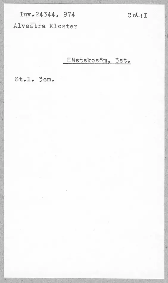 Bild på Hästskosöm