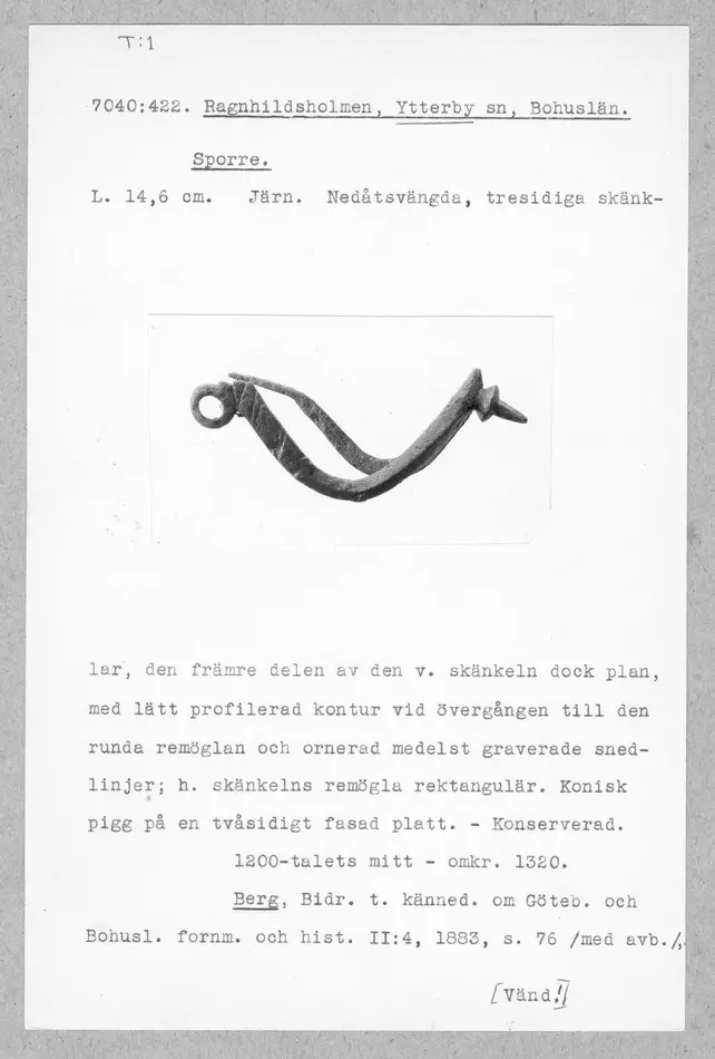 Bild på Piksporre, Sporre