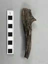 Image of Ög NOR1997;31