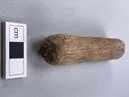 Dymling