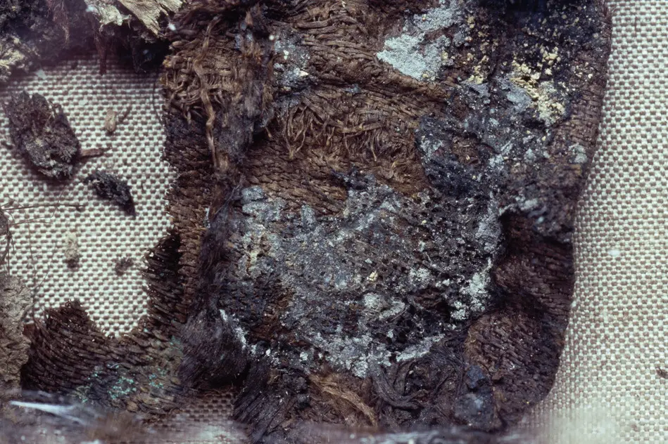 Fragment