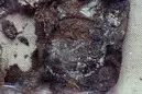 Fragment