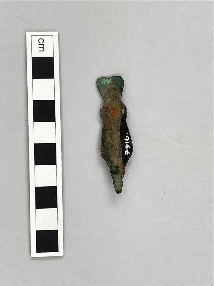 Fågelfibula