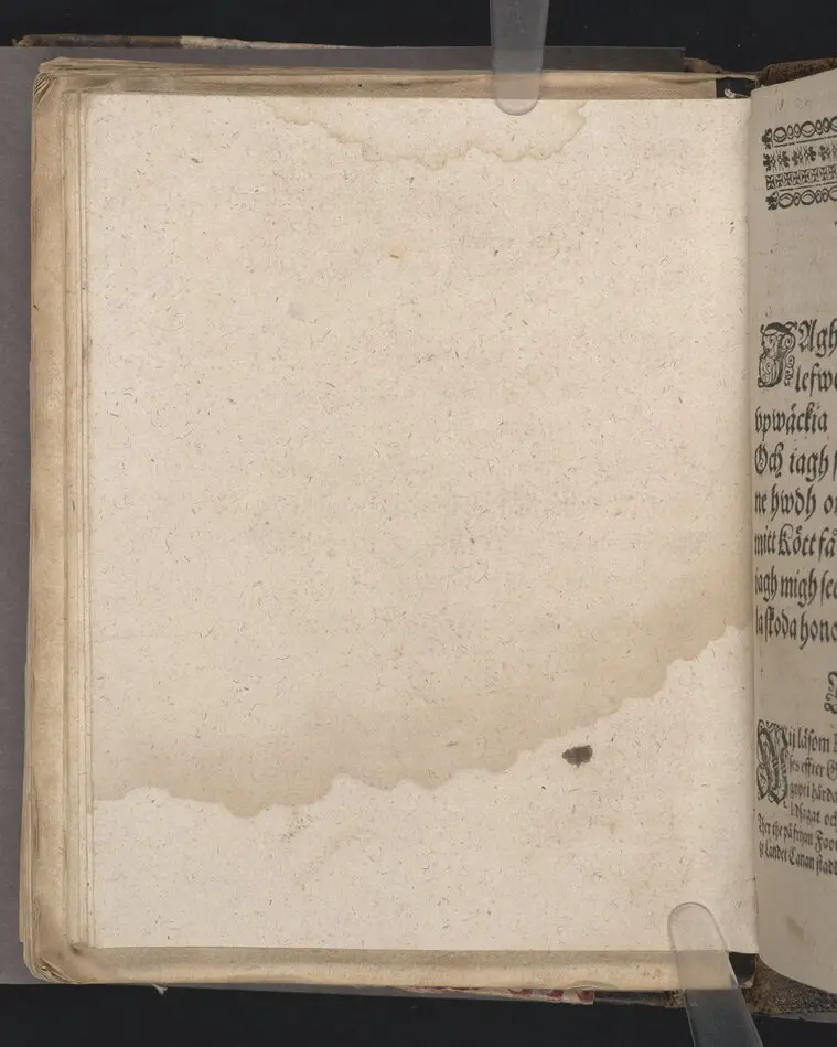 Lijkpredikan, tå ... then edle och wälborne herre, H. Johan Flemming til Lechtisz, Laijsz och Siöndaal, etc. effter ett christeligit affsteed ifrån thenna werlden den 29 Junij åhr 1646. medh waanligh, ädeligh procesz, vthi sitt, aff sigh sielfwo i wälmachtene tilberedda graffställe i Stockholm på Östermalmen vthi S. Jacobs kyrckio den 14. Julij på samma åhr,, [sic!] nedersatt bleff, hållen aff ... Stephano Gallio ..
