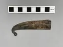 Rakkniv