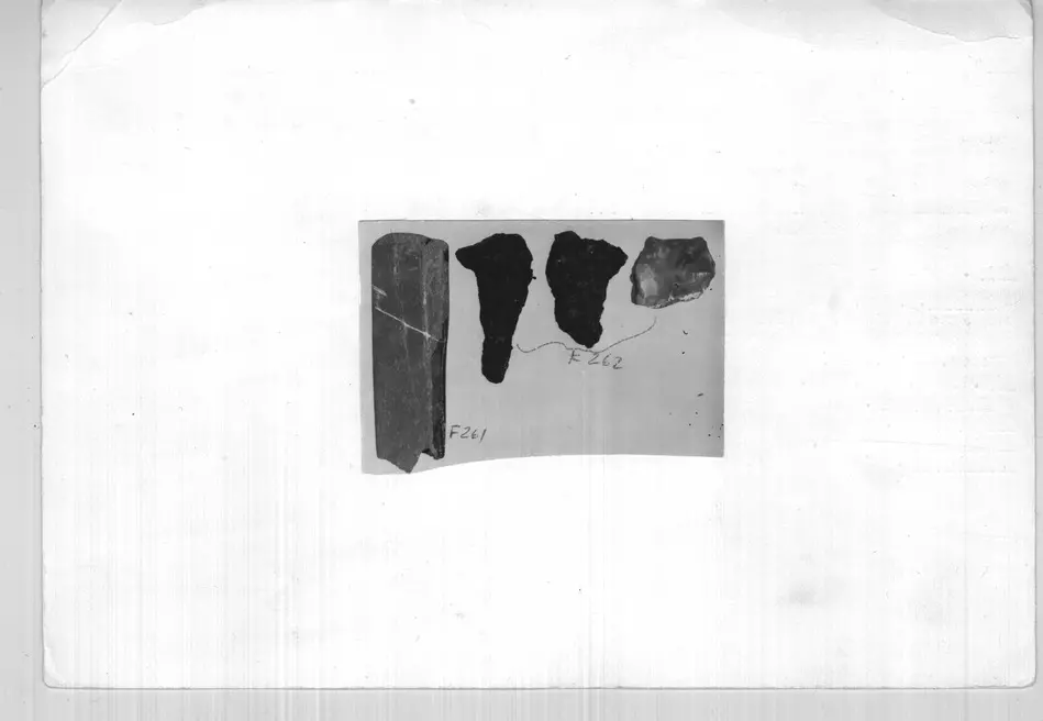 Bild på 199AB422-D591-4435-B8E8-FA2781F9D1F9
