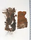 Fragment från Kristinas grav i Peterskyrkan i Rom.