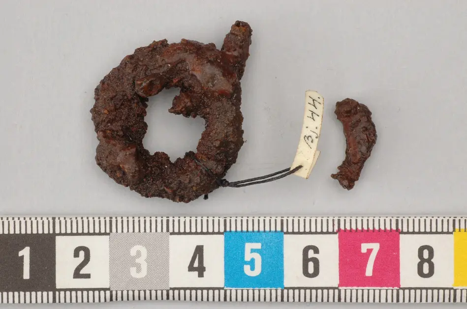 Ring