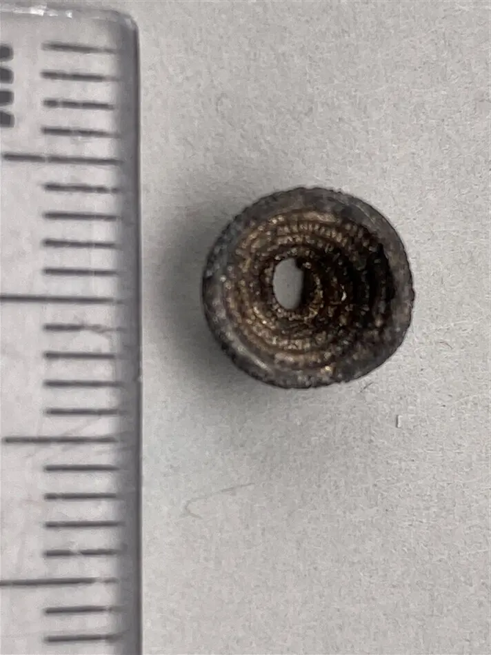 Spirallagd pärla