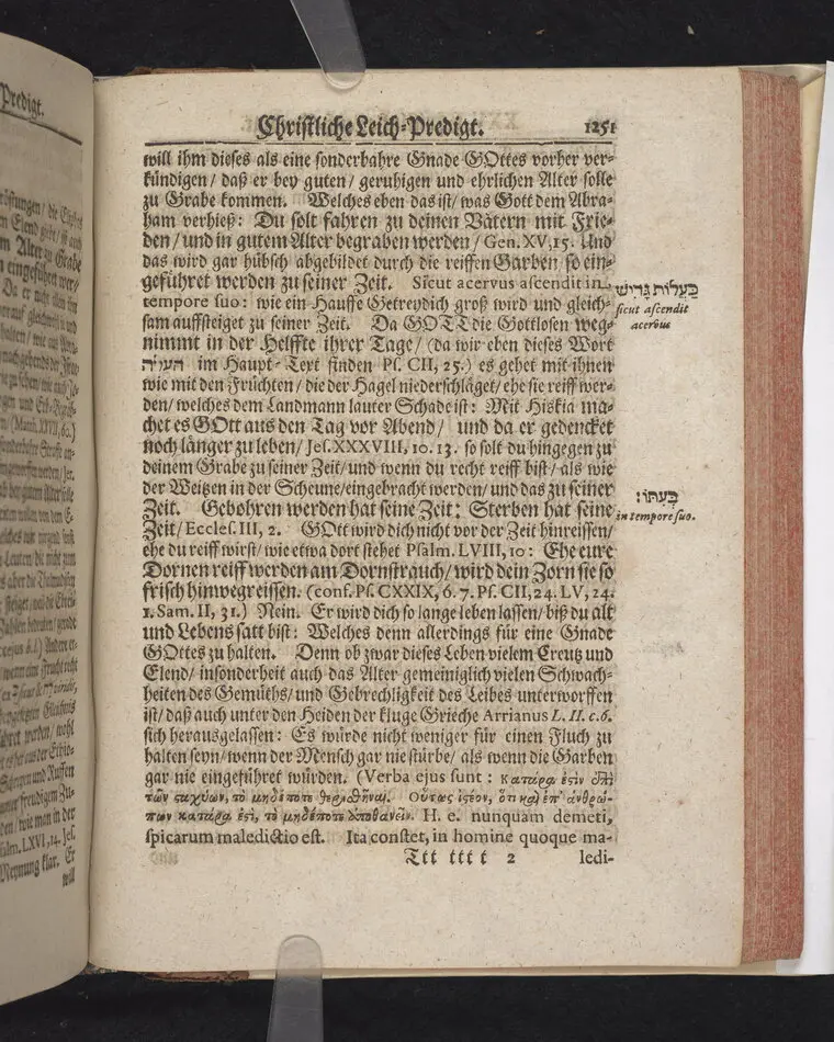 Frommer und getreuer Knechte Gottes seliger Todt/ sanffte Rast und herrlicher Lohn/ Bey Christlicher Leich-Bestatung Herr Johann Georg  Nicolai, weitberühmten Jcti, und Churfl. durchl. zu Sachsen ältesten Ober-consistorial- wie auch zu den Jülich- und Clevischen Successions-Sachen wohlbestellten Raths/ sel. am 25. Septemb. 1690. In der Kirchen zu St. Sophien aus Apoc. XIV, 13. erkläret.