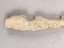 Harpun