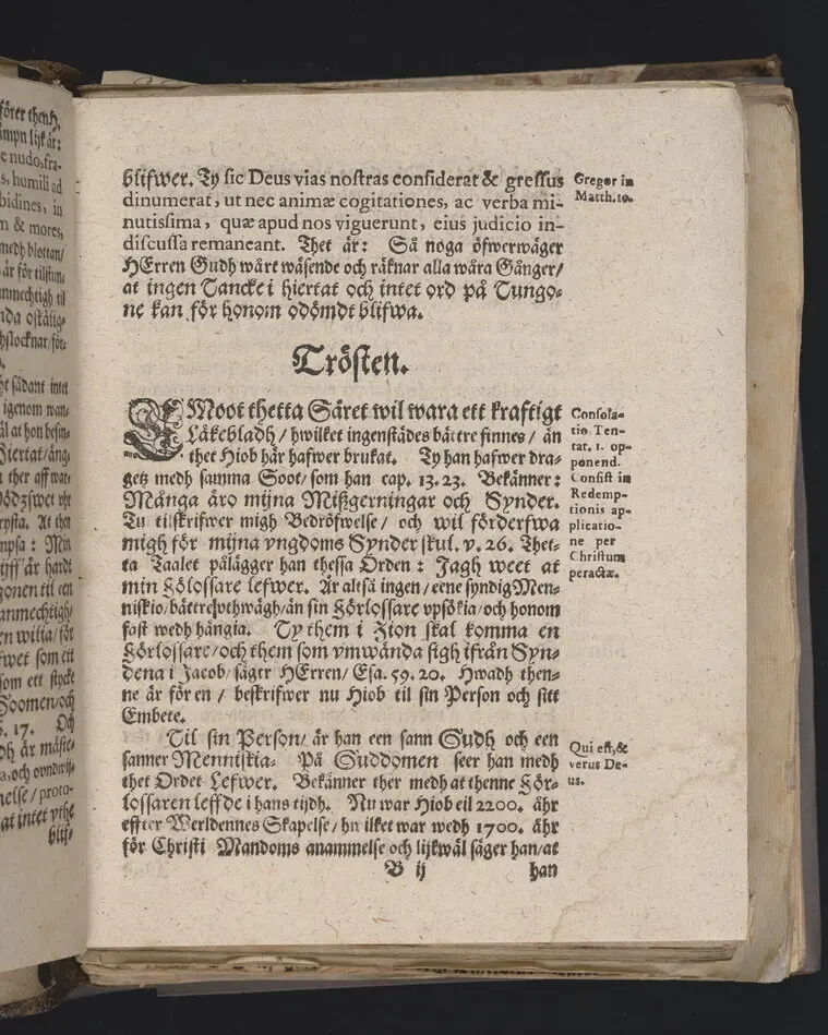 Lijkpredikan, tå ... then edle och wälborne herre, H. Johan Flemming til Lechtisz, Laijsz och Siöndaal, etc. effter ett christeligit affsteed ifrån thenna werlden den 29 Junij åhr 1646. medh waanligh, ädeligh procesz, vthi sitt, aff sigh sielfwo i wälmachtene tilberedda graffställe i Stockholm på Östermalmen vthi S. Jacobs kyrckio den 14. Julij på samma åhr,, [sic!] nedersatt bleff, hållen aff ... Stephano Gallio ..