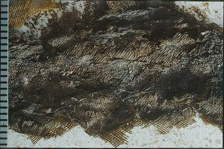 Fragment från Kristinas grav i Peterskyrkan i Rom.