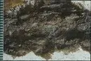 Fragment från Kristinas grav i Peterskyrkan i Rom.
