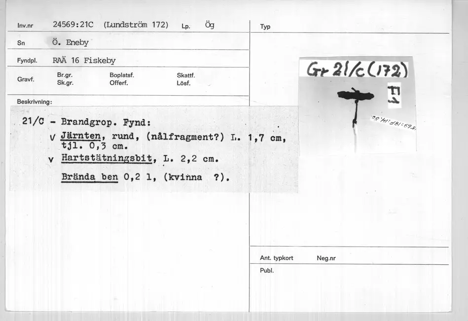 Bild på 2C3F0460-9C64-467A-A1F4-B7242588860B