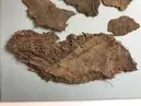 Fragment