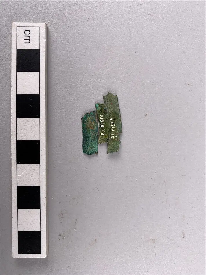 Fragment