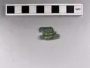 Fragment