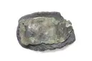 Image of U Fv1969;210