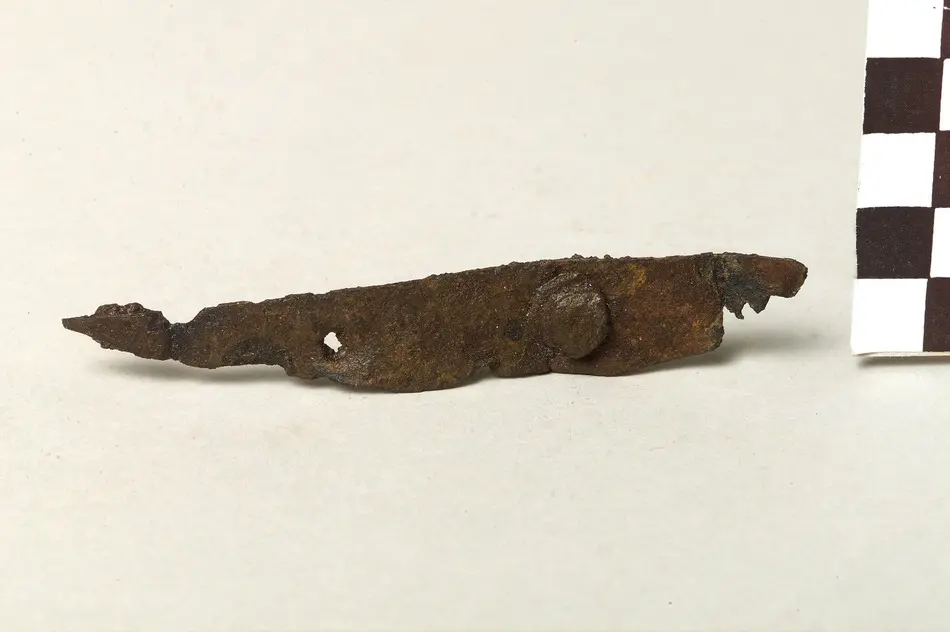 Fragment