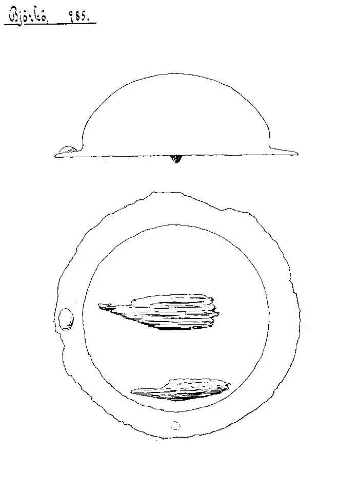 Sköld