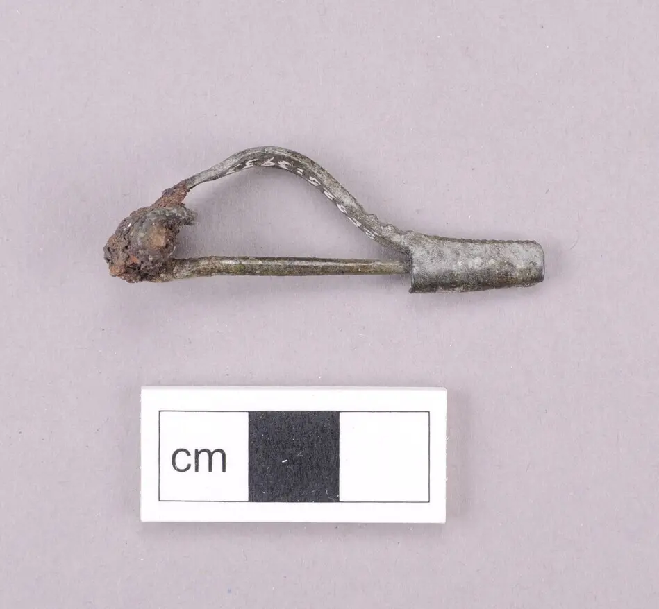 Bild på Bandformig fibula, Spänne