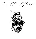 Oval spännbuckla P51