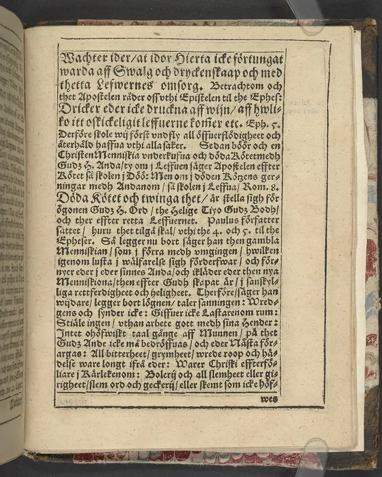 Een christelig lijkpredikning om the andelige fiender, med hwilka alla gudfruchtiga menniskior strijda måste ... Hwilken tå ... frw Maria Eliszabeth, Sweriges ... konunga dotter ... fördes til sin hwilokammar i Linckep[~]ing. Hållin är på thet fursteliga hwset Bråborg, then 18. januarij, åhr 1619. Aff Petro Jonæ Biugg ... Tryckt i Stockholm aff Oluff Oluffson. Anno 1620.