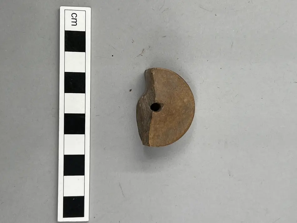 Bild på Armborst, Armborstnöt