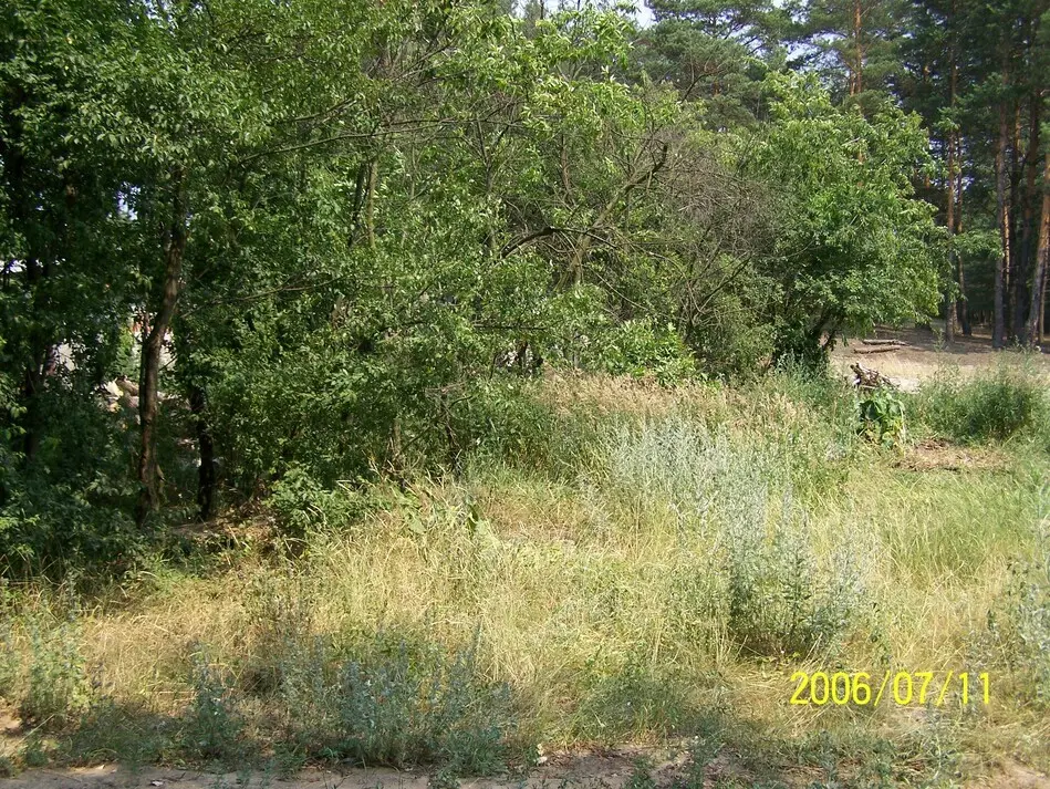 Bild på Fotografi