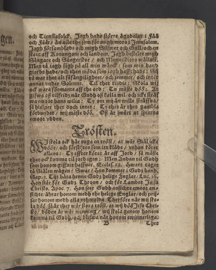 Then IX. lijkpredikningen, hållin i Sorunda soknekyrkia, vthi ... f. Görwäls til Fållenääs, s. h. Göstaff Biörsons effterlefwande änckias begraffning, then 1. julij, anno 1619.