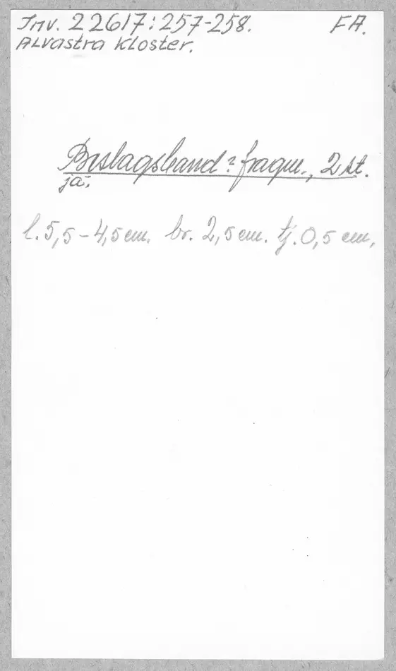 Bild på beslagsband, Band, Fragment