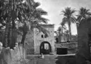 Fotografi. Sidi-Barkat i gamla Biskra, Algeriet.