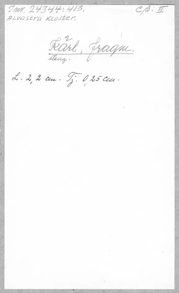 Bild på Kärl, Fragment
