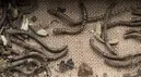 Fragment