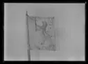 Kompanistandar vid Smålands kavalleri från Fredrik I:s tid.