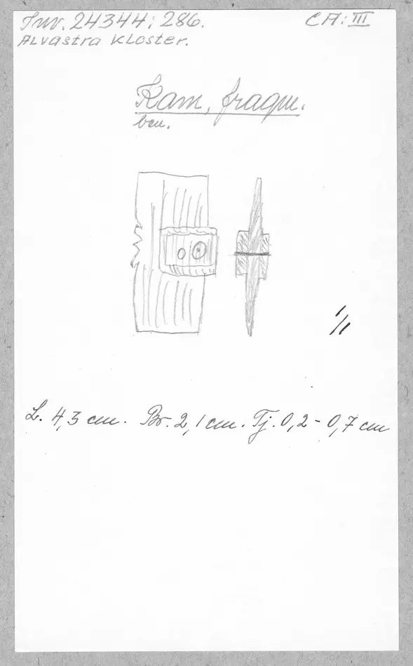 Bild på Kam, Fragment
