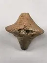 Pärla