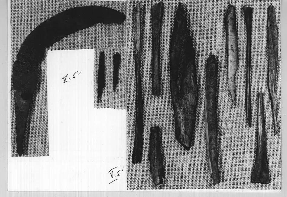 Bild på Bearbetat ben, Ben, Skära, Fragment