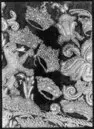 Bogstycke, hör till Kyritzryttarens utrustning, vilken ingick i Karl X Gustavs begravningståg den 4 november 1660.