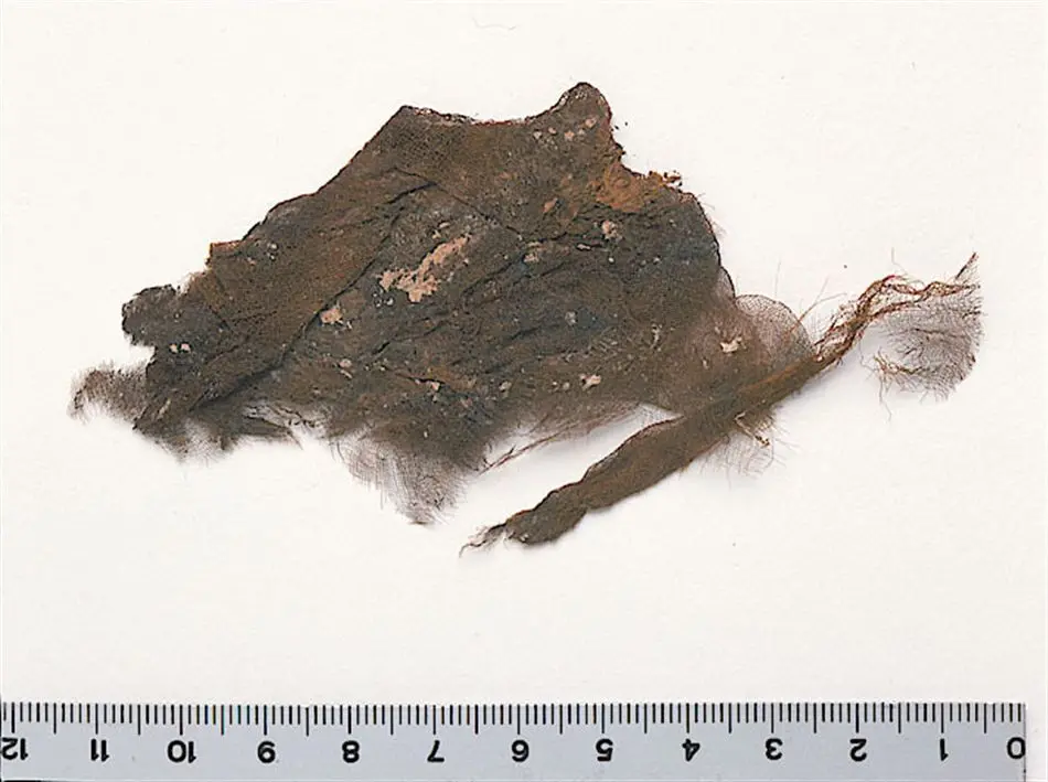 Bild på Slöja, Fragment